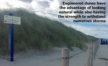 Sand Dune Barriers in the Netherlands